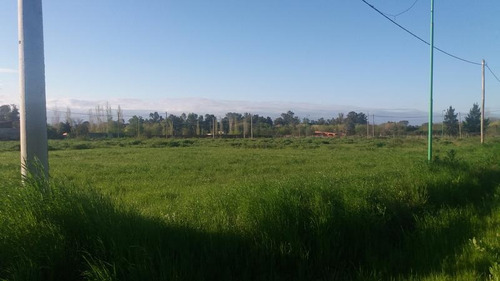 Terreno En Venta En 409/139 Y 141 Buona Terra Villa Elisa - Alberto Dacal Propiedades
