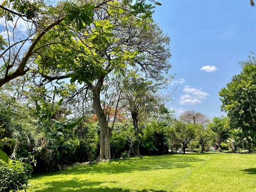 ¡oportunidad Gran Terreno En Yautepec, Morelos!