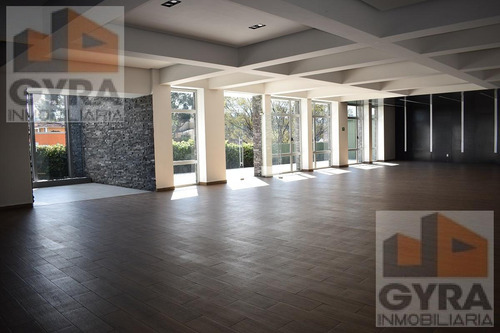 Departamento Amueblado En Renta En Residencial San Angel Olivar De Los Padres Alvaro Obregón