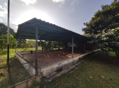Imagen 19 de 25 de Espectacular Finca En Bejuma Alto De Reyes Carabobo Jc-lp