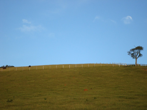 Imagem 9 de 14 de Terreno Em Camanducaia/mg