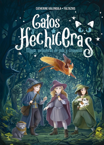 Gatos Y Hechiceras (pic) - Catherine Kalengula / Faltazius, De Catherine Kalengula / Faltazius. Editorial Picarona En Español