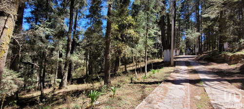 Venta Terreno 0 Ambiente Bosques De San Cayetano