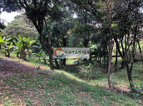 Imagem 10 de 14 de Terreno Em Condominio
