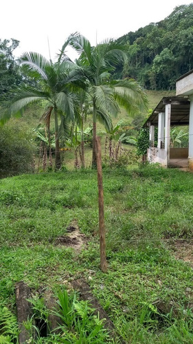 Imagem 26 de 30 de Chácara À Venda Em Juquitiba- Sp - 437 - 70366634