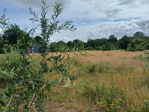 Parcela En La Reserva De Frutillar Naturaleza, Exclusivida