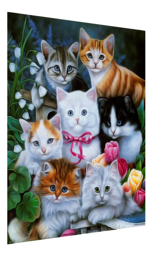 Pintura De Bricolaje, Regalos De Inauguración Gato