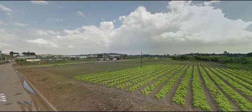 Imagem 2 de 17 de Aluguel Ou Venda Área Industrial Portão Arujá R$ 50.000,00 | R$ 45.621.800,00 - 26822v