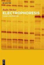 Libro Electrophoresis : Theory And Practice - Budin Michov