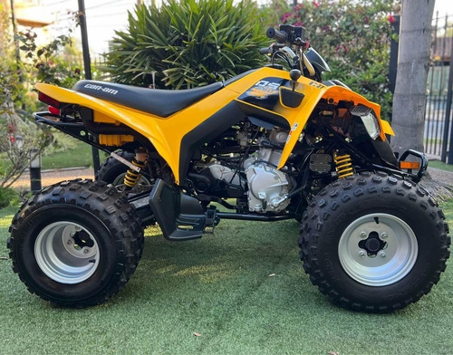 Imagen 2 de 7 de Can Am Ds 250 Impecable Como Nuevo!!!!