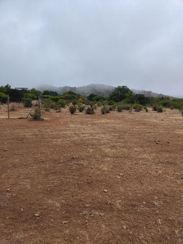 Vendo Terreno Plano En Km 17 Sub Cuesta La Dormida Olmue