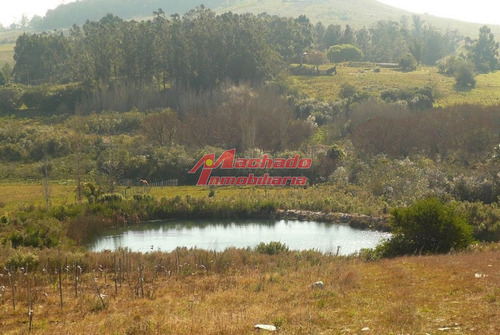 Imagen 18 de 20 de Venta De Chacra En Punta Del Este