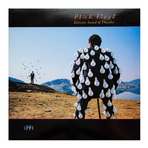 Pink Floyd - Delicate Sound Of A Thunder 2lp Vinilo Sellado