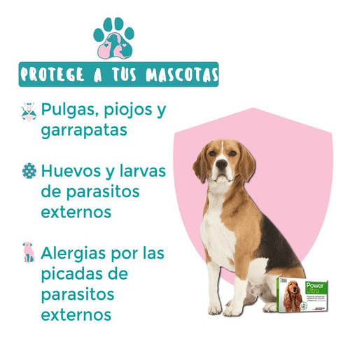 Pipeta Antipulgas Y Garrapatas Para Perros