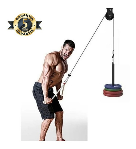 Imagen 1 de 7 de Polea Alta Gimnasio Maquina Para Tricep Espalda Uso Rudo.