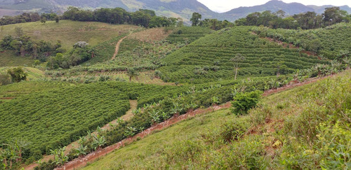 Imagem 14 de 15 de Fazenda, Para Venda Em Carangola/mg - Var1212ale