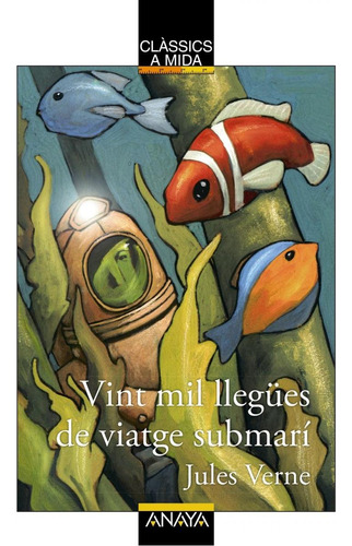 Libro: Vin Mil Llegues De Viatge Subamri. Verne, Jules. Anay