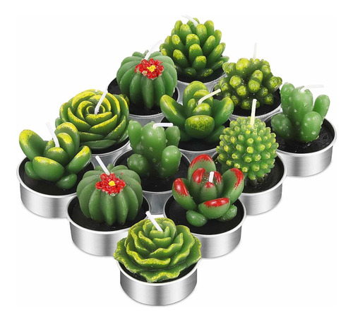 12 Velas De Cactus De Cera De Parafina Hechas A Mano 4x4 Cms