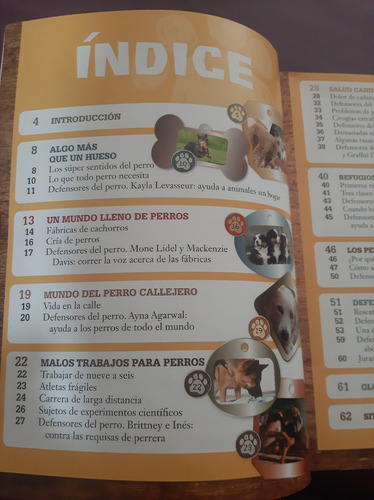 Sin Refugio Por Un Mundo Más Amable Con Los Perros (Usado)