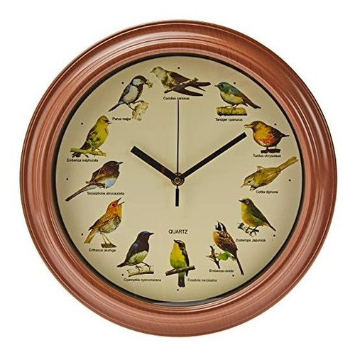 Plástica Del Diseño Del Pájaro Del Reloj De Pared.