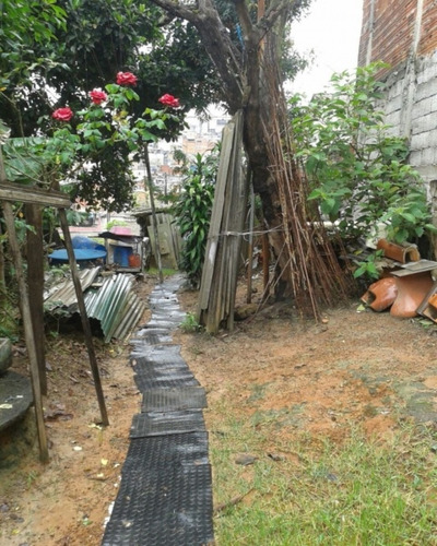 Imagem 12 de 15 de Terreno - Te-01 - 32142377