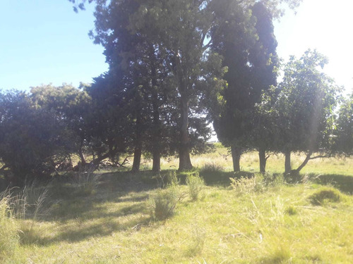 Imagen 5 de 19 de 1086- Venta Campo 136 Hectareas En Estacion Solis Minas Lavalleja