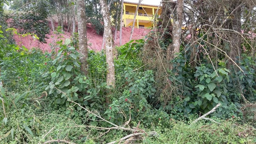 Imagem 2 de 2 de Terreno Residencial À Venda, Aralú, Santa Isabel. - Te0155