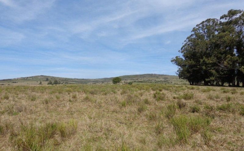 Quinta En Venta En Pueblo Edén