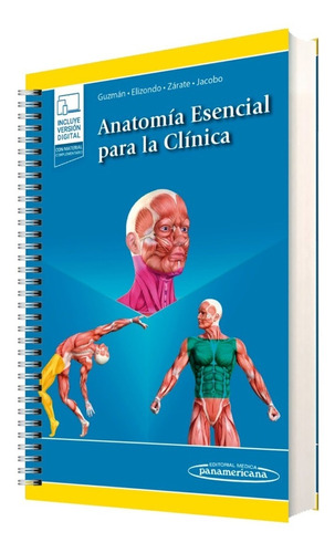 Anatomía Esencial Para La Clínica / Gúzman Elizondo