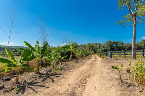 Imagem 20 de 30 de Fazenda À Venda No Bairro Sarapuí - Sarapuí/sp - O-8420-17443