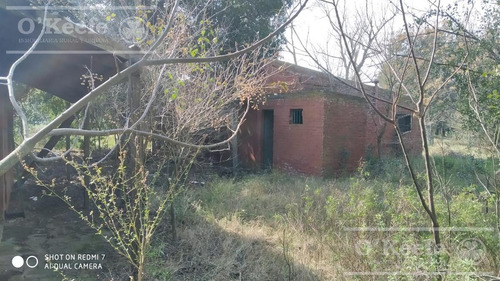 Imagen 22 de 29 de Chacra De 29 Has En Venta En Baradero - Ideal Fin De Semana Y Producción Agrícola