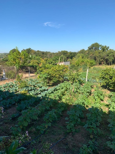 Imagem 2 de 19 de Chácara 6000m2, Casa Sede Com 220m2, 3 Dormitórios, 2 Banheiros, 3 Vagas Cobertas, Varanda, Área Gourmet, Cozinha Americana, Ótima Localização - Ch00290 - 71043879