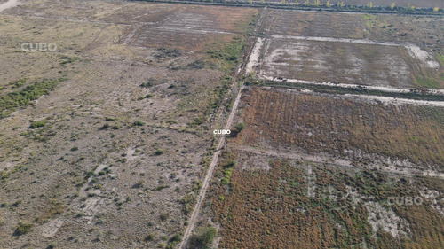 47 Hectareas De Campo Con Gran Frente En Ruta Nacional 40 (acceso Sur) Ugarteche Lujan De Cuyo