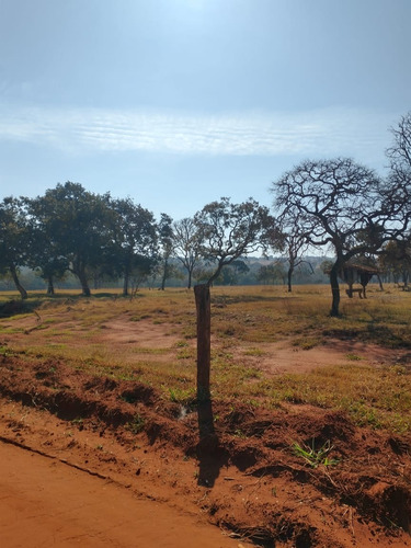 Imagem 11 de 13 de Fazenda Para Pecuária A Venda Na Região De Itapagipe / Campina Verde-mg, Com 57,5 Alqueirao, Benfeitorias Completas, Rio E Represa - Fa00395 - 70075361