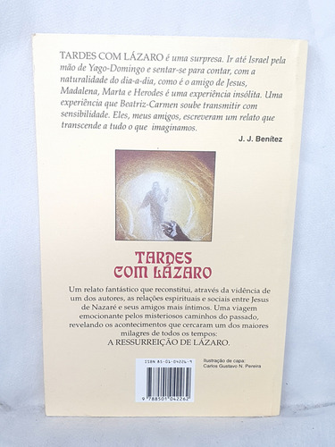 Livro Tardes Com Lázaro - Domingos Torroba ; Carmen Torres Ripa - Editora Record (Usado)