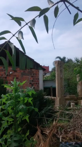 Terreno Em Vila Conceição - Lu24727