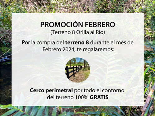 Parcela En Venta En Futrono