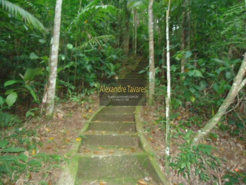 Imagem 22 de 25 de Casa - Ca00092 - 71129479