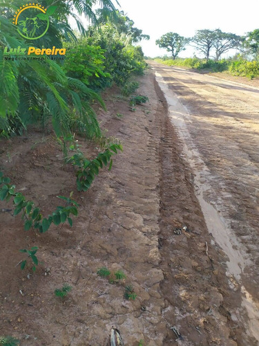 Imagem 1 de 5 de Fazenda À Venda Em Barra Do Ouro - To - 1404 Hectares (dupla Aptidão) - 1865