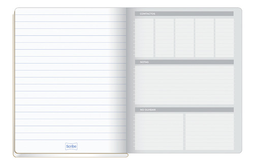 Cuaderno Profesional Scribe Colegial Cuadro Grande 100 Hojas