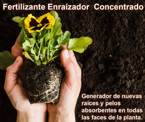 Fertilizante Enraizador Concentrado Por 20 Ml (rinde 16 Lt)