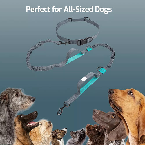# Collar De Perro Wed Generic Manos Libres Con Cinturón