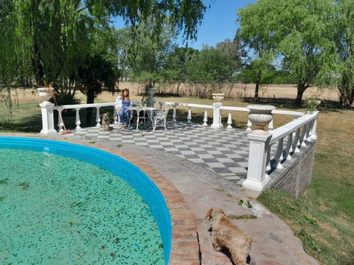 Imagen 4 de 28 de Hermosa Casa En Alquiler Temporario