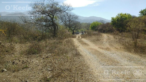 Imagen 27 de 30 de Campo En Venta En Salta - 2000 Has