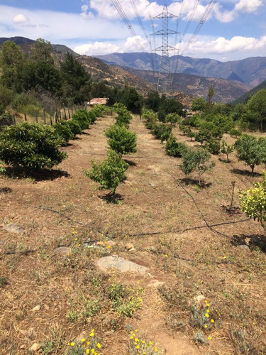 Parcela En Olmué: 2500 M² A 10 Min De El Rústico