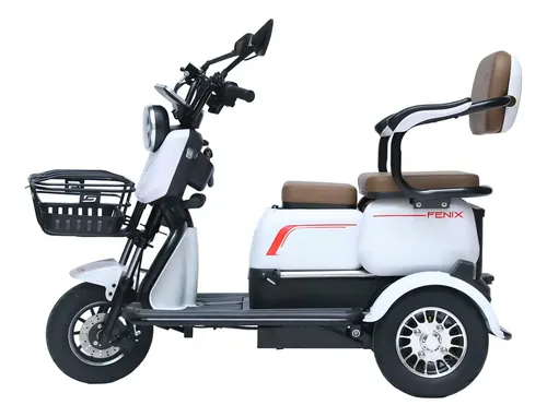 Triciclo Elétrico 750w Dois Assentos Cadeiras Ré Alarme Baga