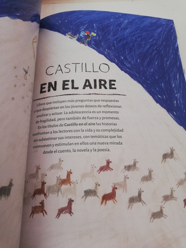 Literatura Infantil Y Juvenil 2020 Castillo (Usado)