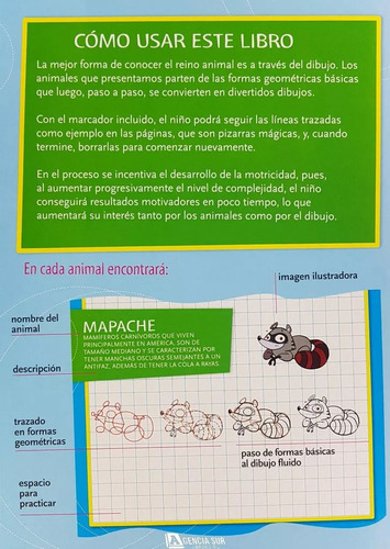 Libro Animales De Colores + Pizarra P/dibujar + Cd - Niños