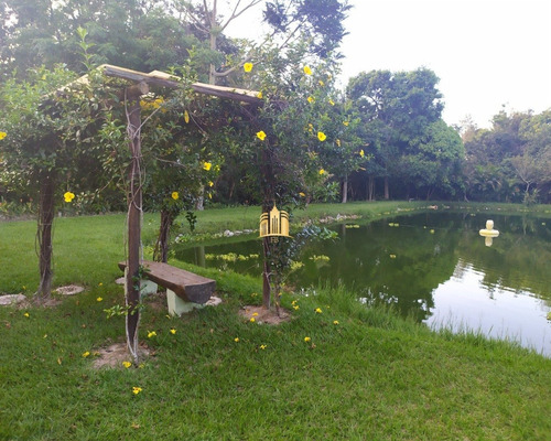 Imagem 2 de 30 de Sitio Em Boa Vista - Esmeraldas - St00068 - 34802218