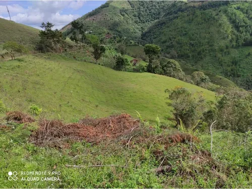 Vendo Finca Ganadera Cerca A La Cabecera De Armenia Mantequilla Ant.